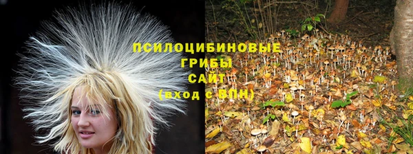 герыч Абаза