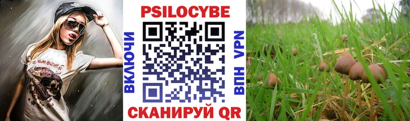 Галлюциногенные грибы прущие грибы Салават