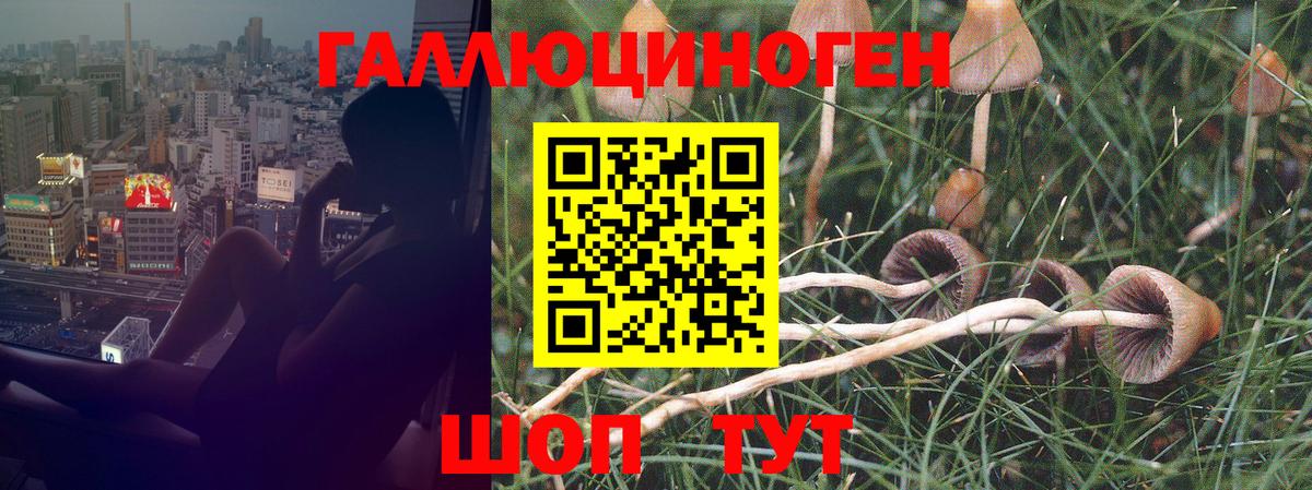 Салават  Псилоцибиновые грибы ЛСД  Вход с VPN 